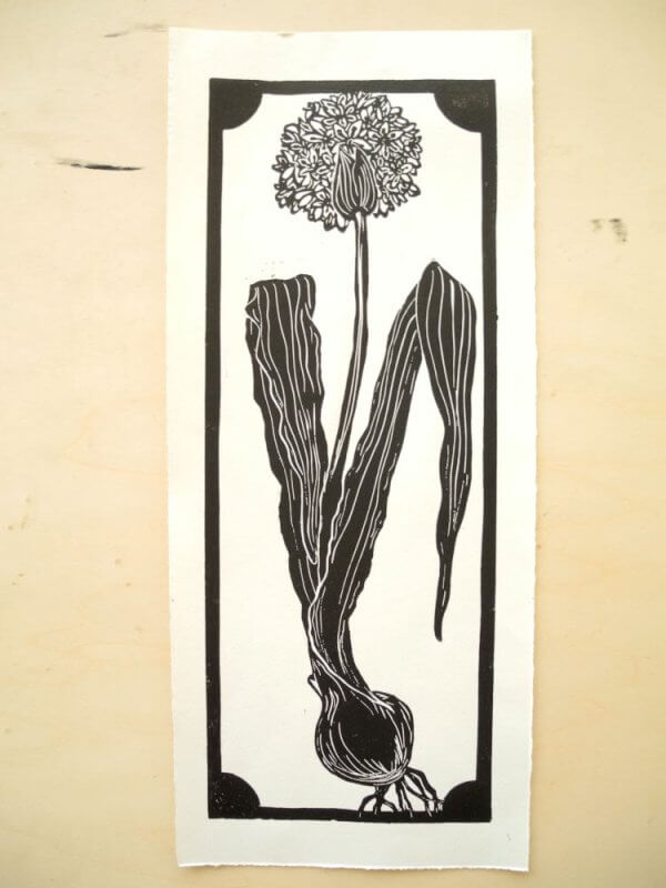 handmade print of an Onion Flower plant